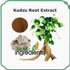 pueraria root extract