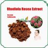 rhodiola rosea extract